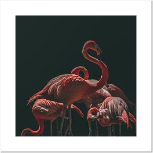 FLAMINGO Posters and Art